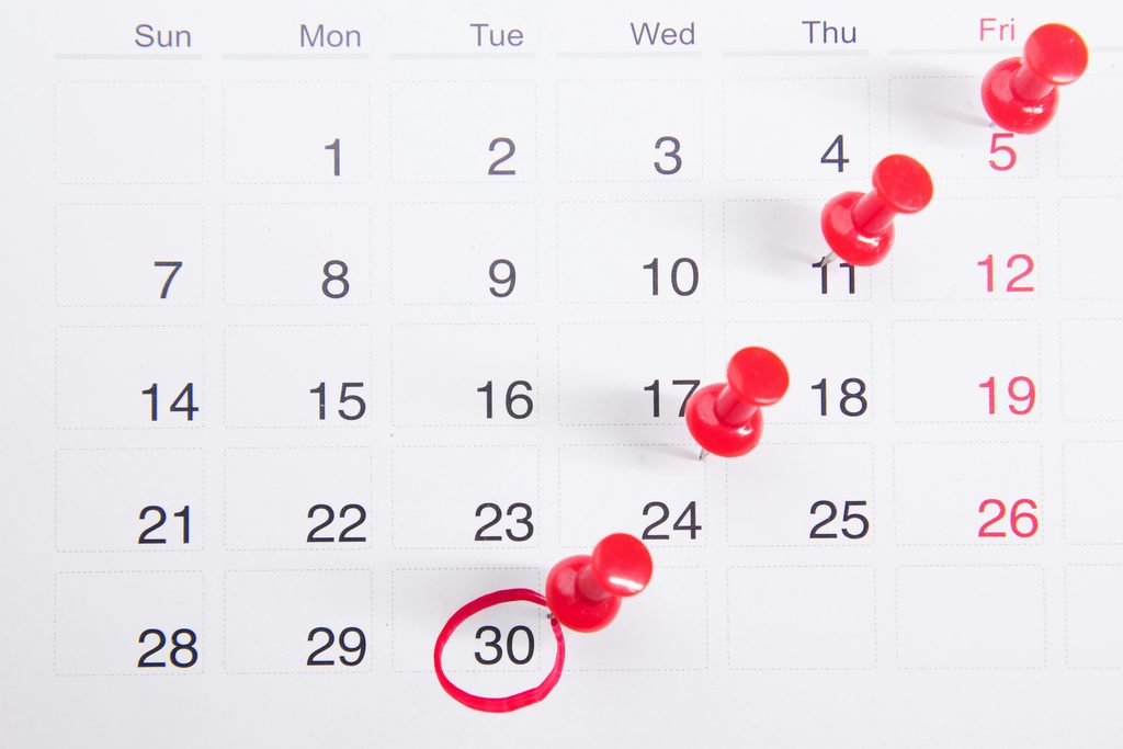 calendar schedule